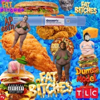 Fat Bitches (feat. AP Gotti & Kellz) - Single - Dumpster Model