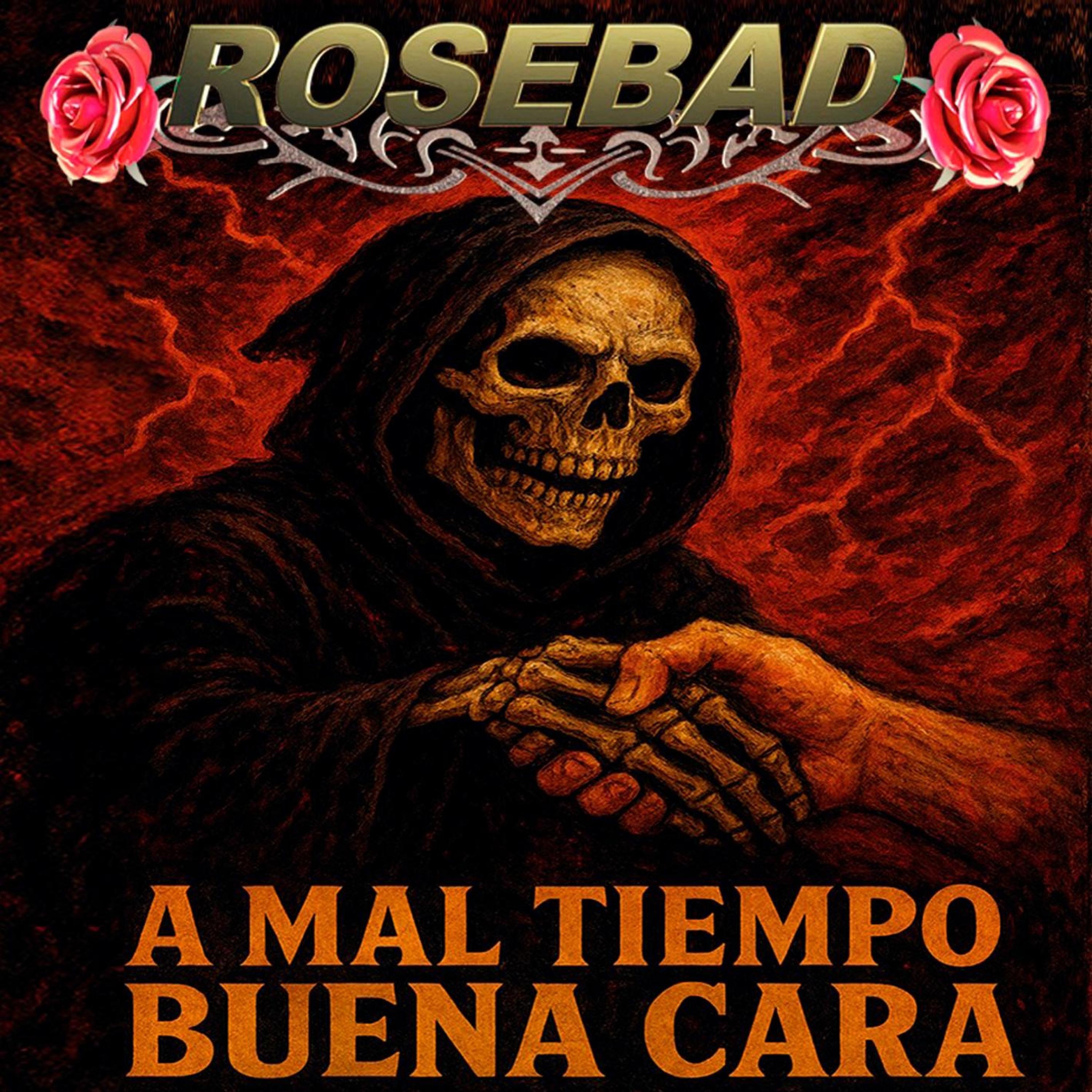 A Mal Tiempo Buena Cara - Single