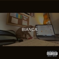 Album cover for Romantic Homicide by Bianca Domez