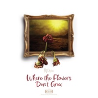Where The Flowers Don't Grow - Single - M.Edison