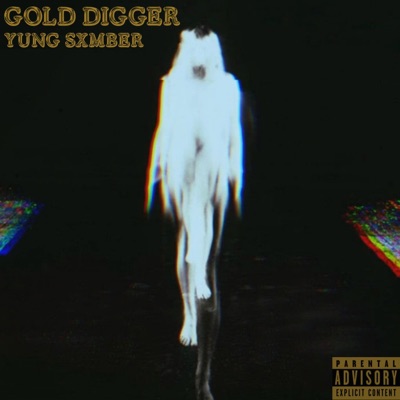 Gold Digger - Single