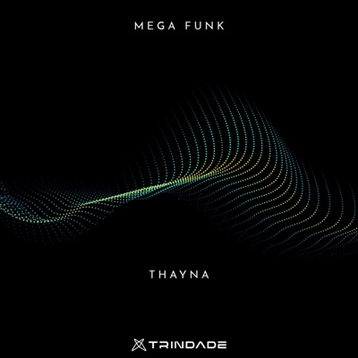 MEGA FUNK THAINA - Single