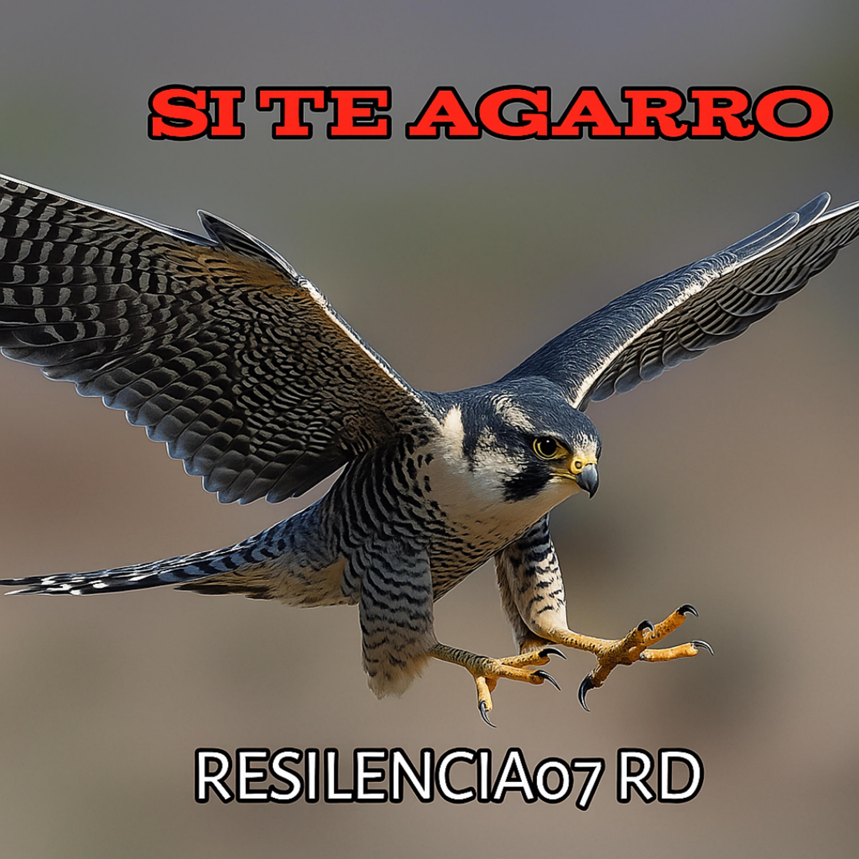 SI TE AGARRO - Single