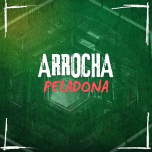 Arrocha Peladona (feat. Mc gw, MC magrinho & Mc Larissa)