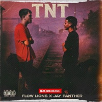 TNT (feat. Jay Phanter) - Single - Flow Lions