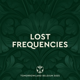 Head Down (Lost Frequencies & SUARK Deluxe Mix) [Mixed] Lost Frequencies, Suark & Bastille