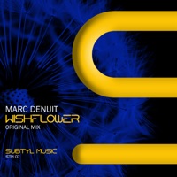 Wishflower - Single - Marc Denuit