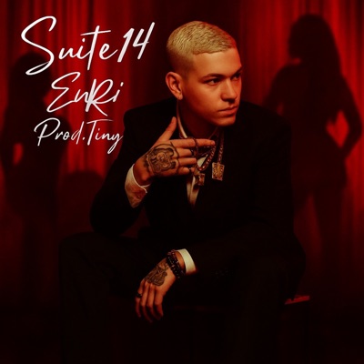 Suite 14 - Single