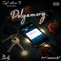 Polyamory (feat. 1Hunnidd) - Single - DJ Loui B & Sahj