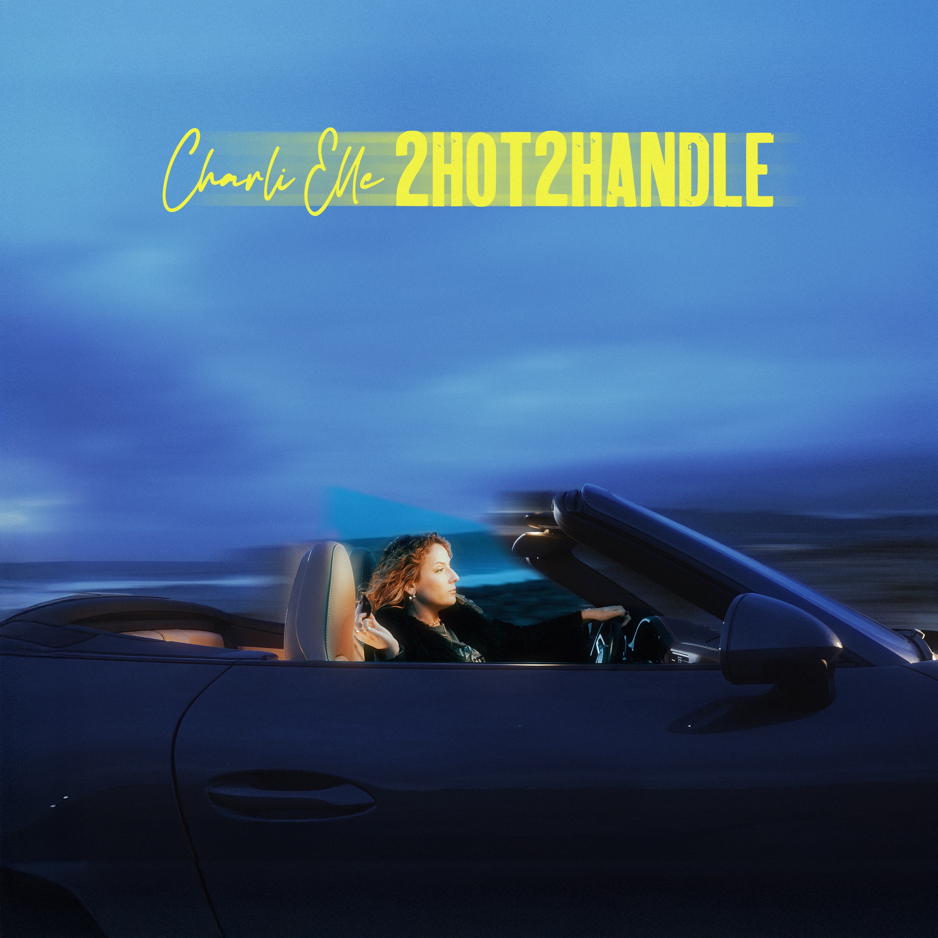 CHARLI ELLE - HOT 2 HANDLE