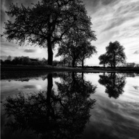 Misery (feat. Kid Cole) - Single - Snowify