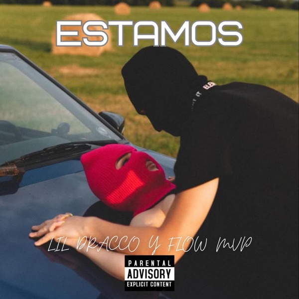Estamos