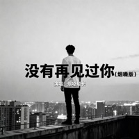 没有再见过你 (烟嗓版) - Single - 烟嗓船长