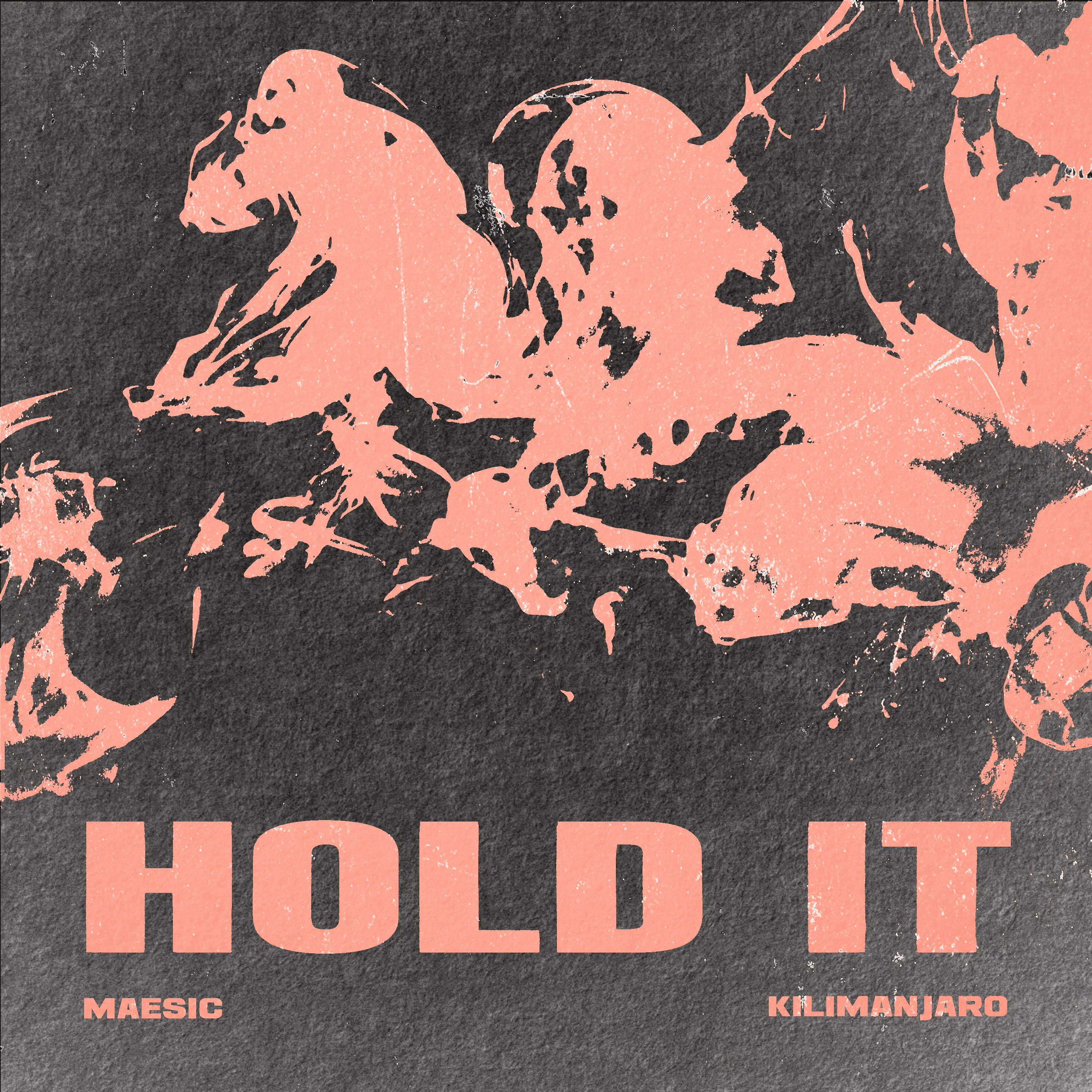 Hold It - Single
