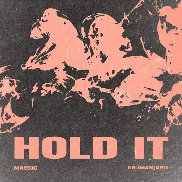 Hold It by Maesic, KILIMANJARO & ZenTola – Apple Music