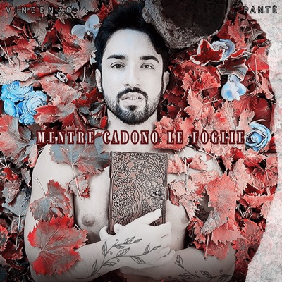 Vincenzo Pantè - Mentre Cadono le Stelle