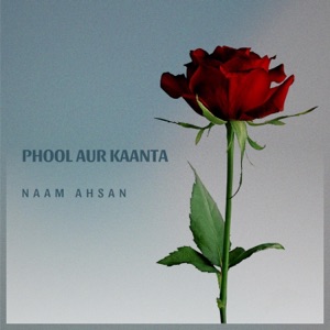Phool Aur Kaanta (feat. Lord Mikalo)