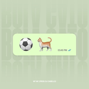 Bola Gato