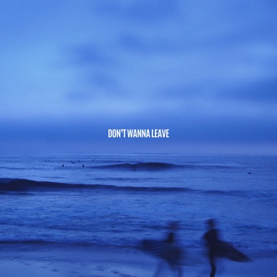 Don't Wanna Leave - Single