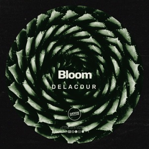 Bloom - EP