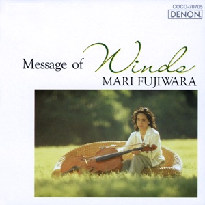 Kaze No Message