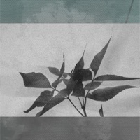 Always Night (feat. Mixed Berries) - Single - Hydro