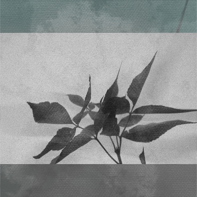 Always Night (feat. Mixed Berries) - Single