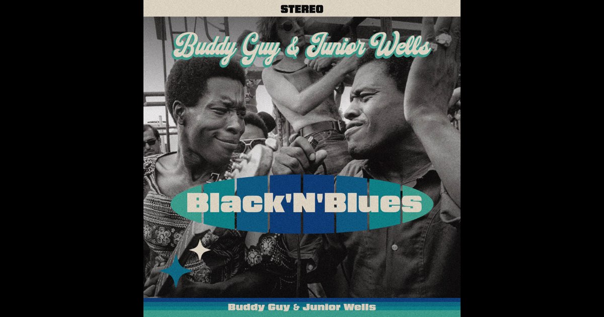 ジュニア・ウェルズ：JUNIOR WELLS CD ９枚セット 芽瑠璃堂 ＞ ジュニア・ウェルズ 『イッツ・マイ・ライフ