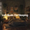 Lofi Music for Sleeping