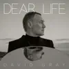 David Gray