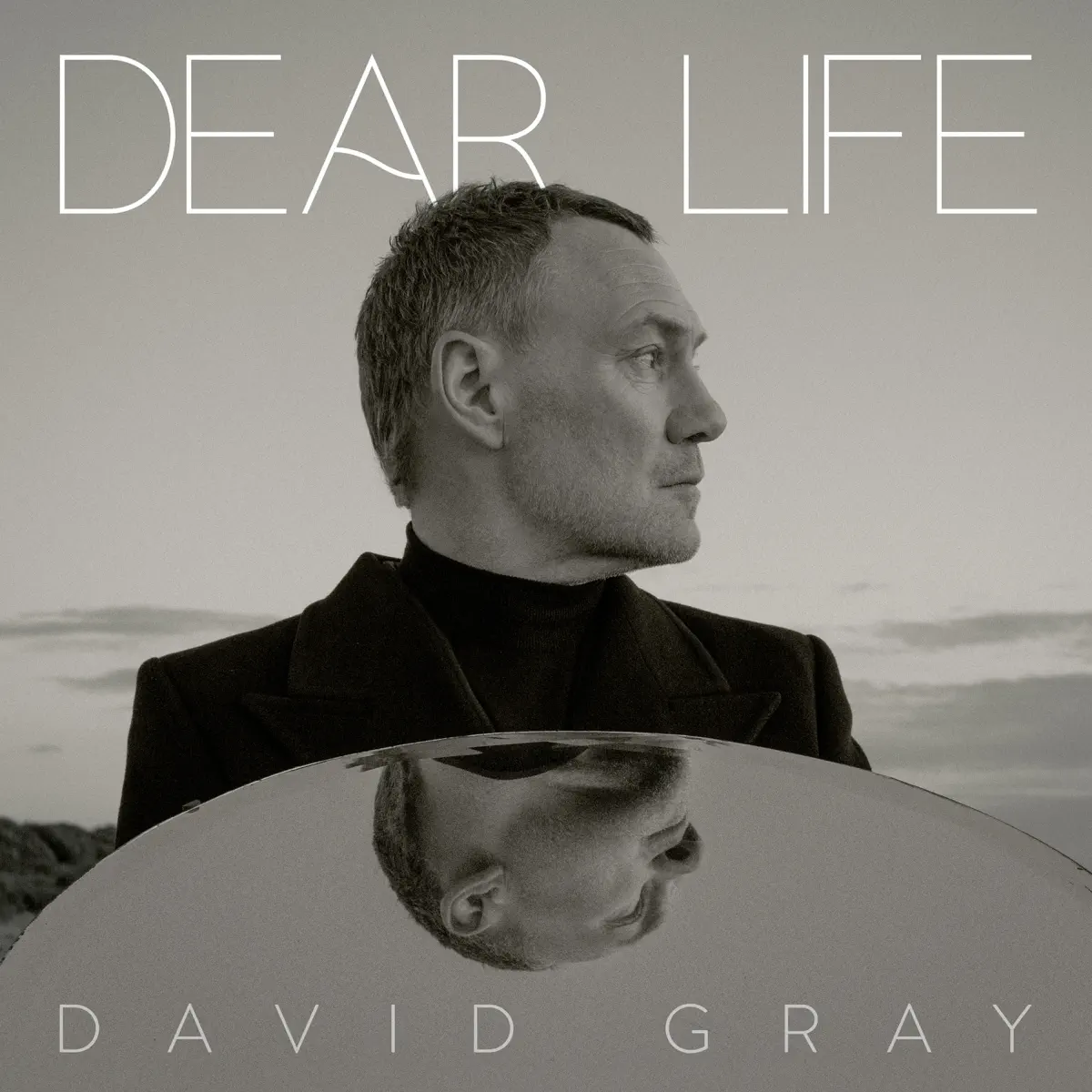 David Gray - Dear Life (2025) [iTunes Plus AAC M4A]-新房子