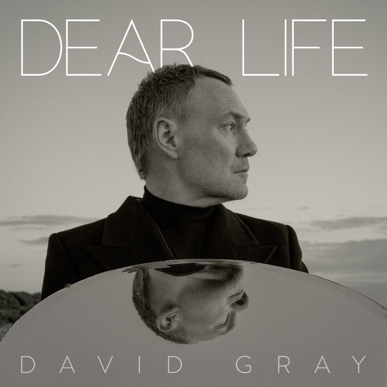 David Gray – Dear Life (2025) [iTunes Match M4A]