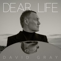 David Gray & Talia Rae Ablum Cover