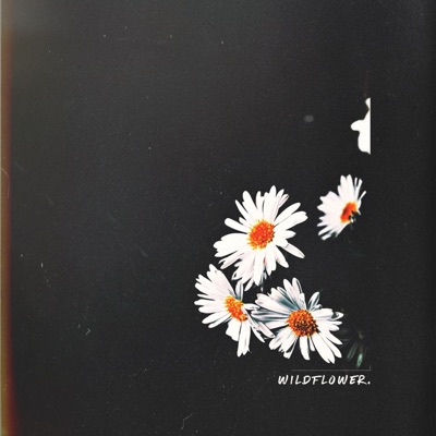 Wildflower