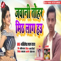 Jawani Tohar Mith Lag Hau - Single - Akhilesh Lal Yadav