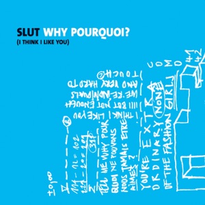 Why Pourquoi (I Think I Like You) - Single