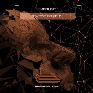 Reverse Polarity - Single