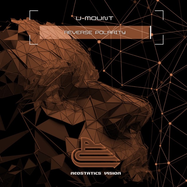 Reverse Polarity - Single