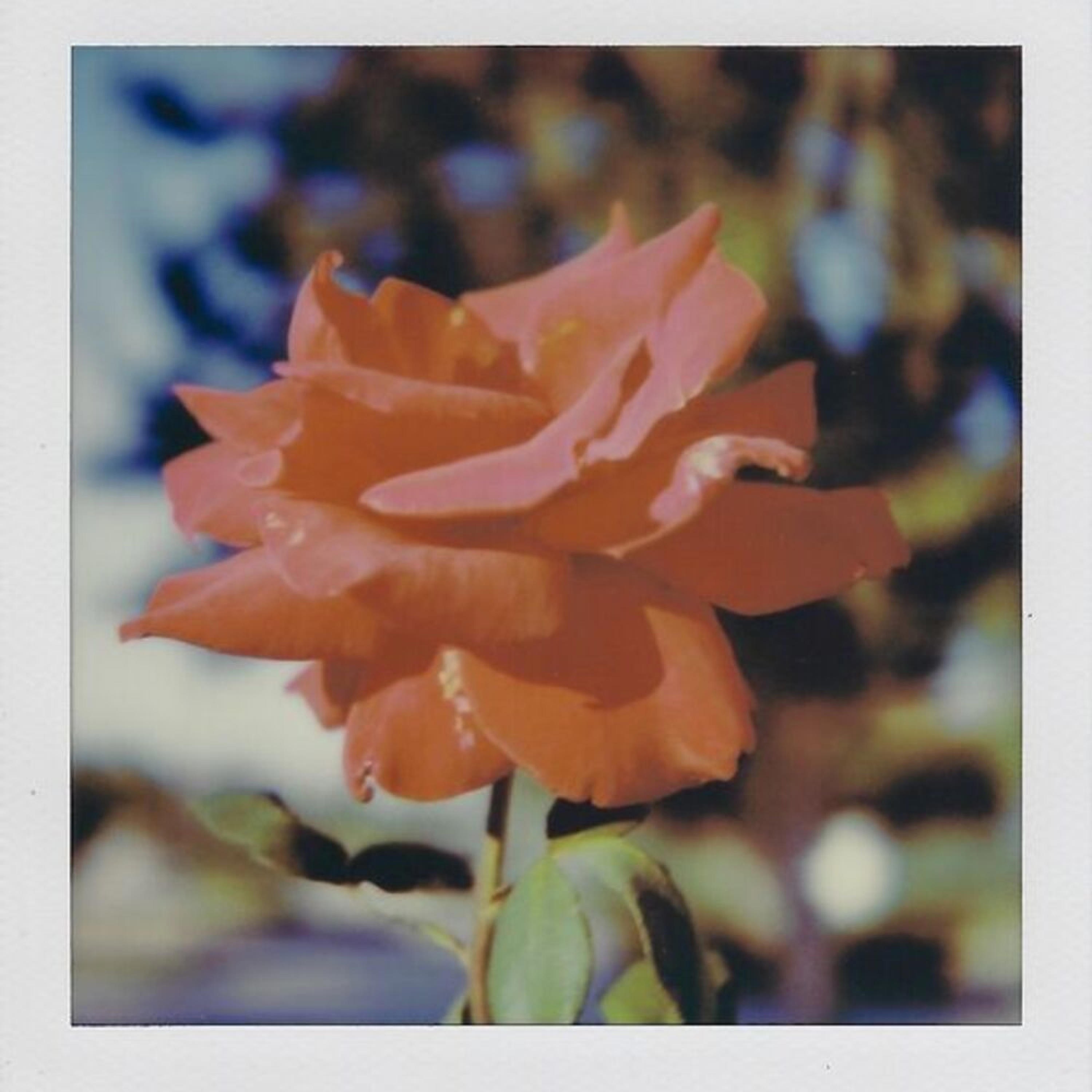 love...? - Single