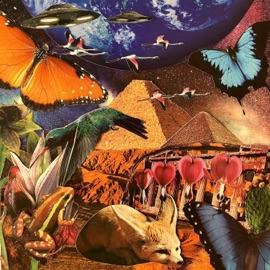 Tabriquet, Salé Mani Deïz & daoud