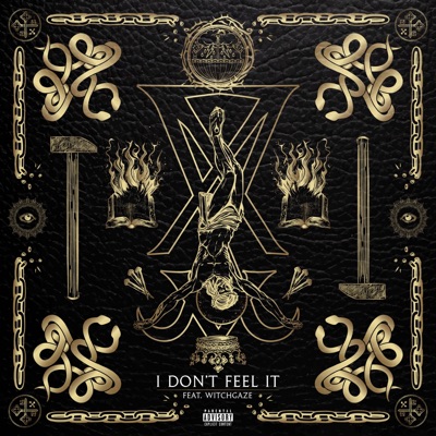 I Don't Feel It (feat. witchgaze) - Single
