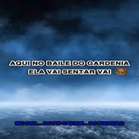 AQUI NO BAILE DO GARDENIA ELA VAI SENTAR VAI - Single - Dj Pixadão, DJ PH CALVIN & dgl o chefão