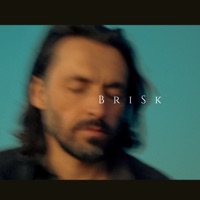Brisk - Single - Aukai
