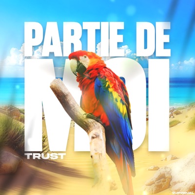Partie de moi - Single