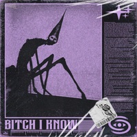 BITCH I KNOW - Single - Abxssal Cxll
