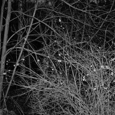 monuments (feat. Laplace) - EP