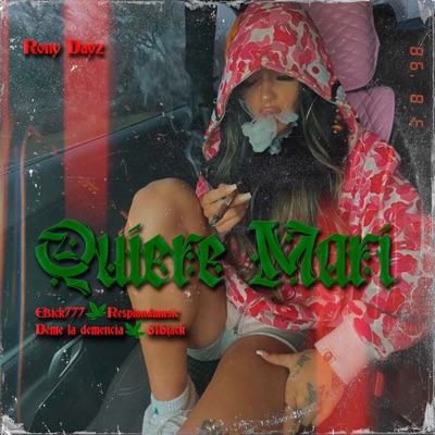 QUIERE MARI (feat. El Deme Mami, Resplandmusic, Garçonn Criminel & Rony Dayz) [707 COMPANY Remix] - Single