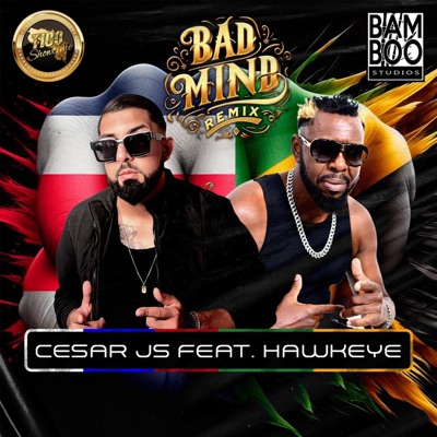 Badmind (feat. Hawkeye) [Remix Version ) (Tico Showtime Riddim] - Single