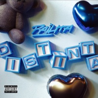 Distinta - Single - Pailita