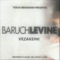 Vezakeini